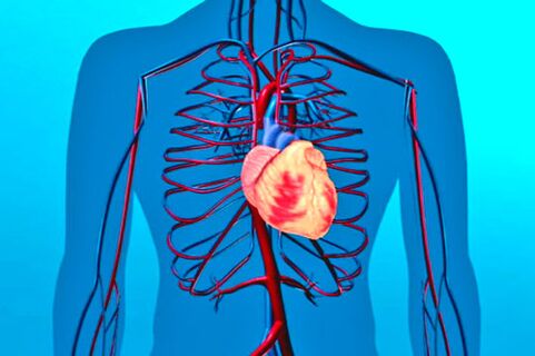 Enfraquecimento do sistema circulatório é fator de risco para hipertensão